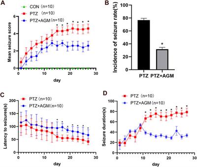 Agmatine Alleviates Epileptic Seizures and Hippocampal Neuronal Damage by Inhibiting Gasdermin D-Mediated Pyroptosis